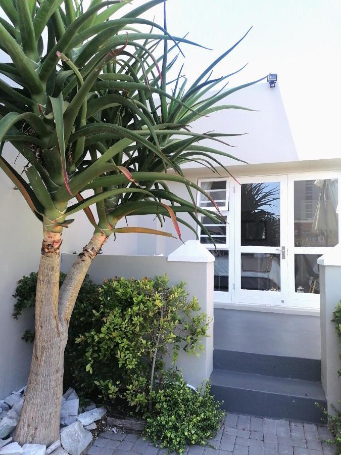 Conifer Beach House Port Elizabeth Zewnętrze zdjęcie